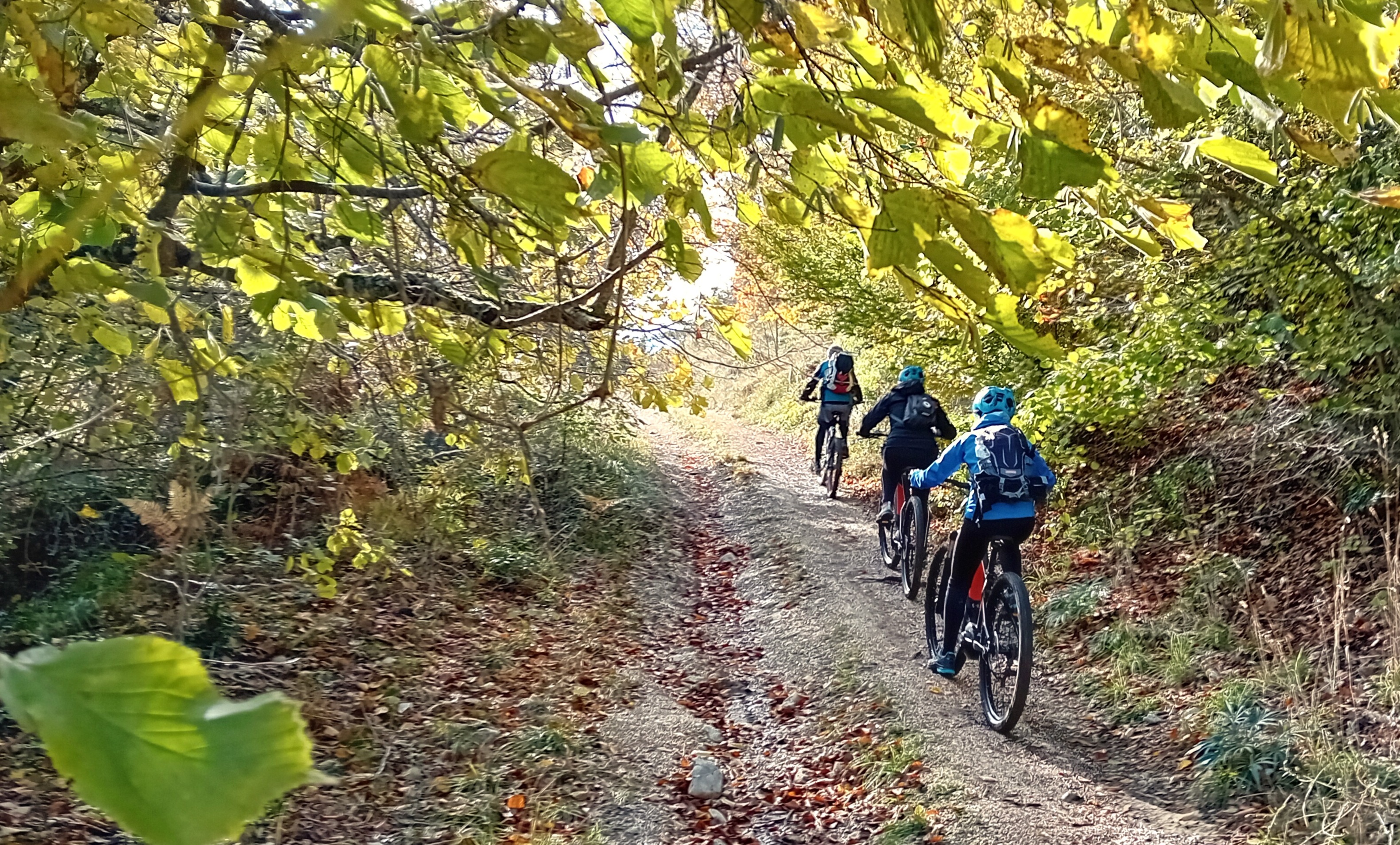 Corso di Mountain Bike