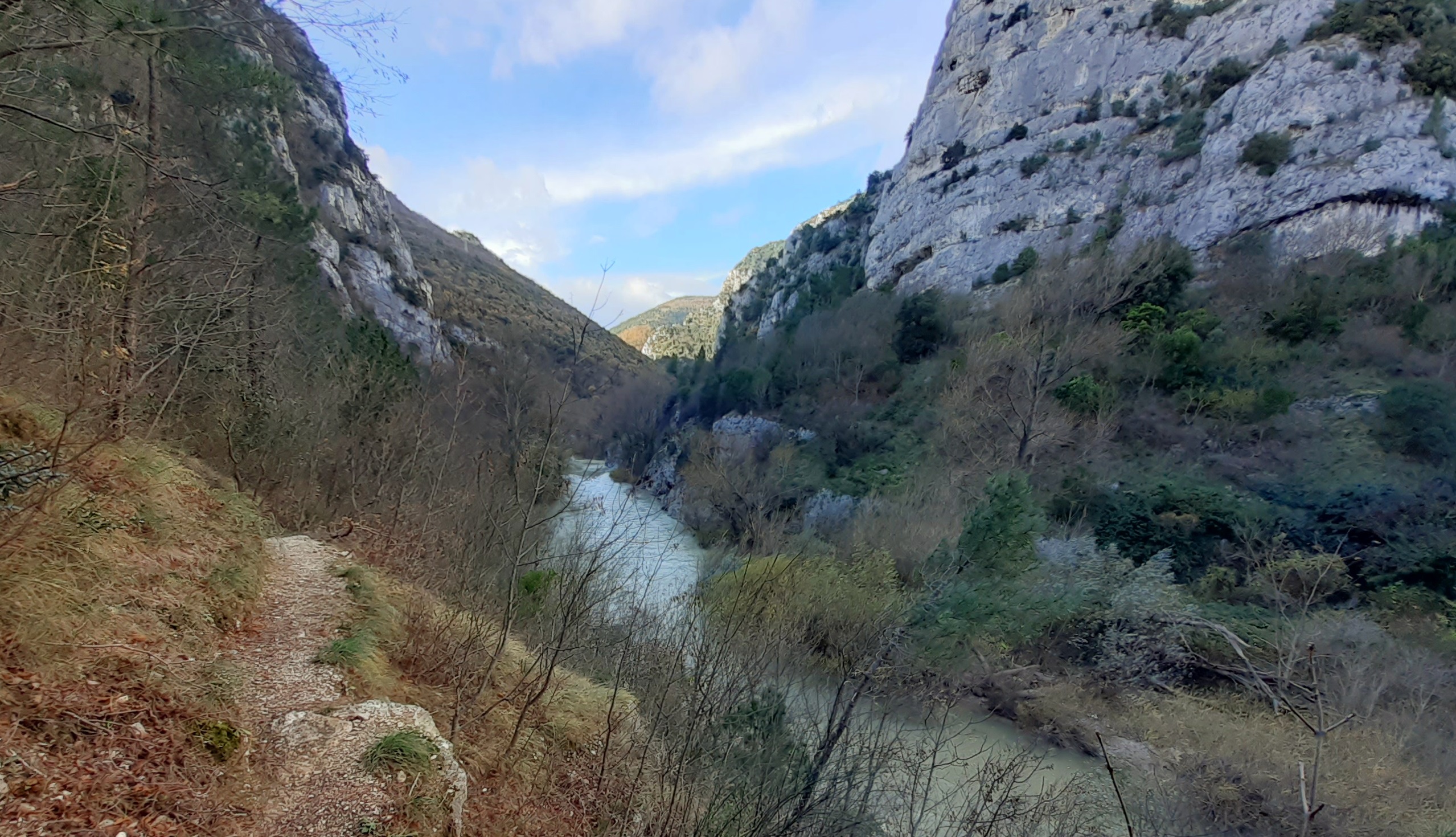 Revellone Selvaggio