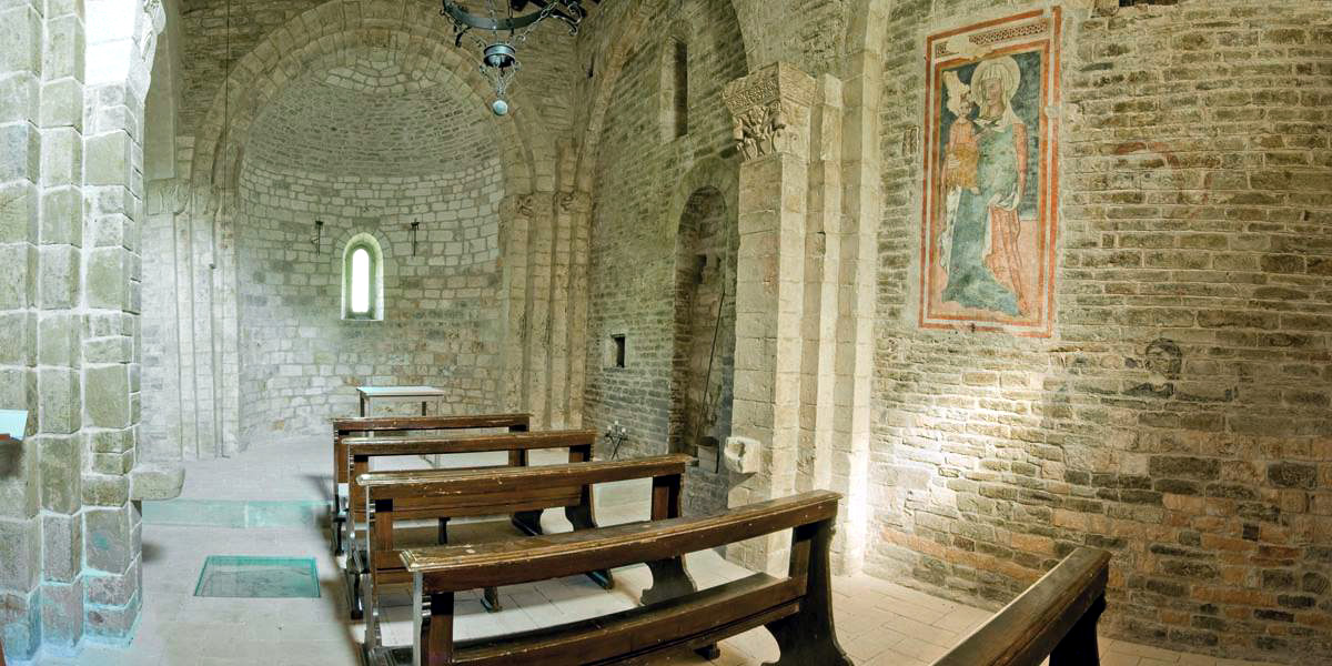 Avacelli, i Templari di Sant'Ansovino e la pineta del Monte Predicatore